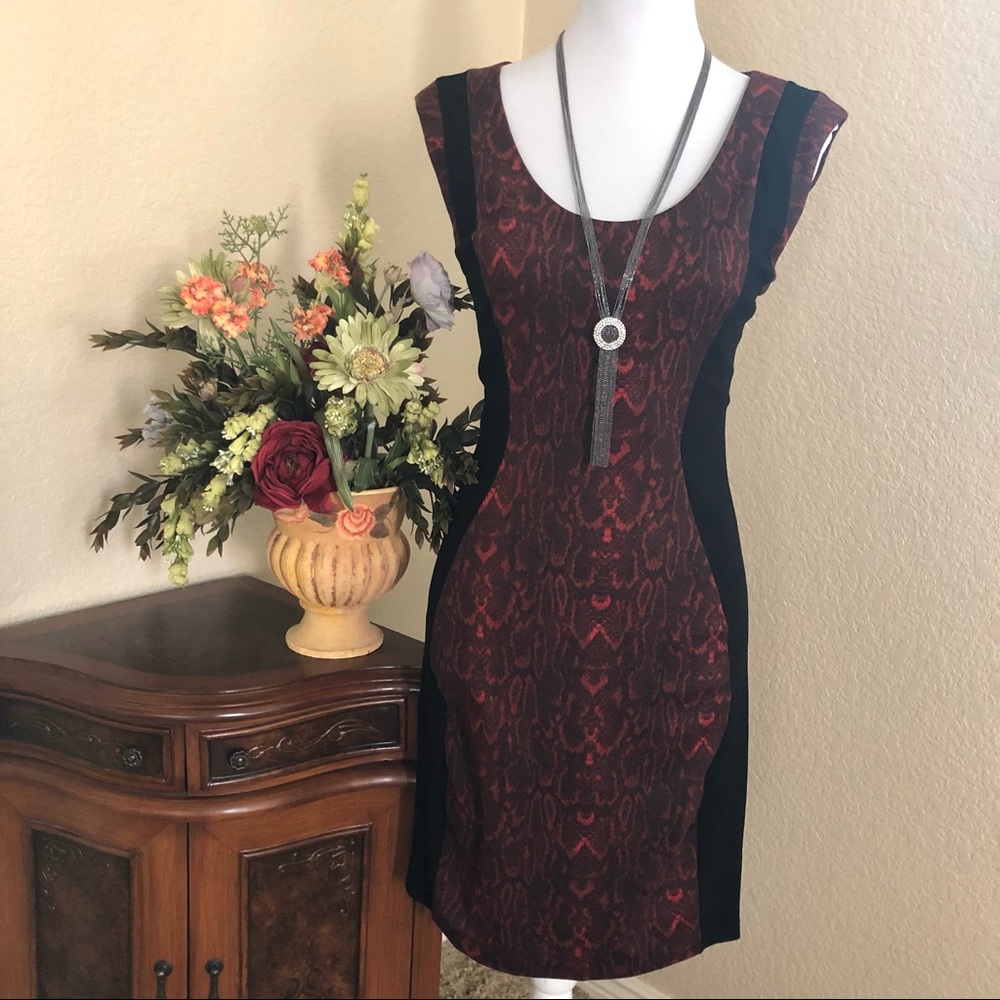 MNG Snakeskin Print Suit Dress
